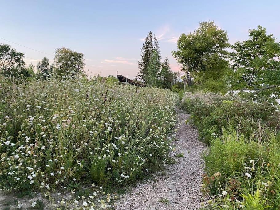 Beautiful Walk Out Basement Apartment In Pickering Near Beach Zewnętrze zdjęcie
